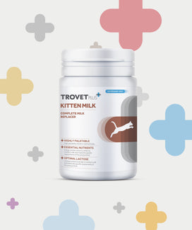 Kittenmelk - Flesvoeding - Complete voeding