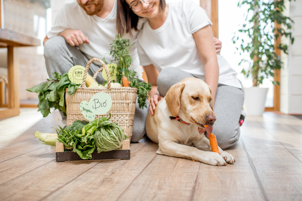 Voedingsmiddelen die goed zijn voor honden