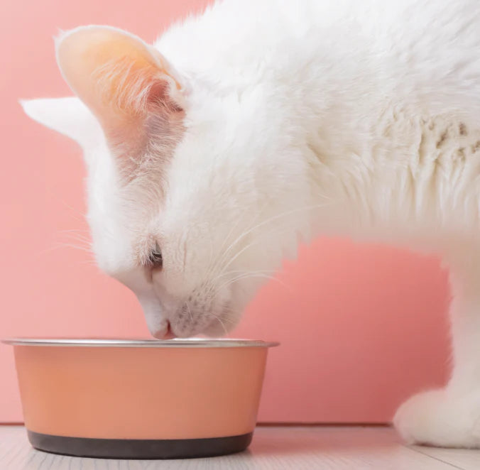 Wij gebruiken in onze recepten alleen de allerbeste kwaliteit vers vlees en natuurlijke ingrediënten. Onze voeding wordt in eigen keuken bereid door ons team van voedingsdeskundigen en dierenartsen. Op deze manier maken we met liefde voor uw huisdier de lekkerste en gezondste maaltijden zonder vleesmeel of gedehydrateerd vlees.

Wij weten dat u geeft om de gezondheid en het welzijn van uw viervoetige vriend(en) en voortdurend op zoek bent naar de beste voeding voor hen.

Daarom is Amanova de beste keuze voor gezonde en gelukkige huisdieren!