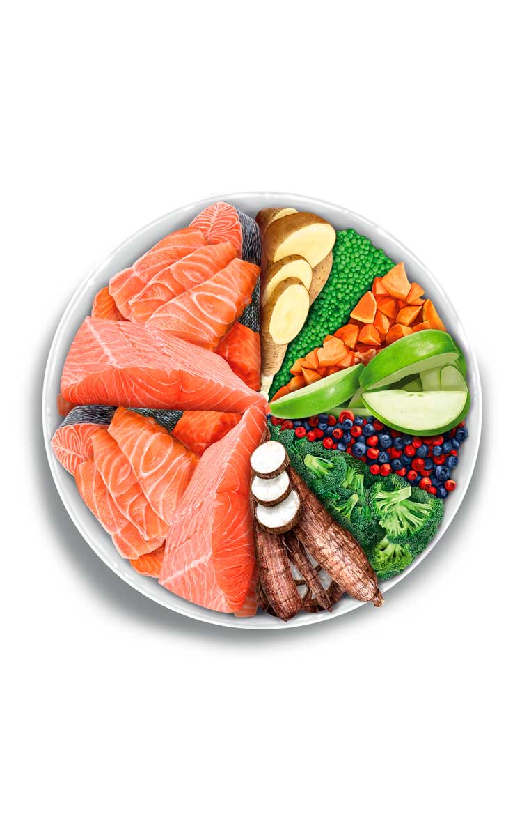 Adult mini sensitive - Salmon Deluxe - Verse zalm